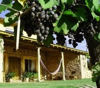 Finca Adalgisa